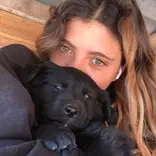 Animal Care Volunteer Project in Romania