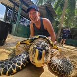 Sea Turtle Conservation Volunteer Program in Sri Lanka