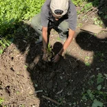 Sustainable Agriculture & Community Development Volunteer Program in Jamaica
