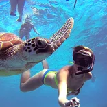 snorkel with turtles in gili t