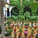 Universidad Pablo SA, Sevilla