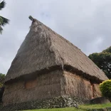 fiji scholars