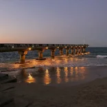 port elizabeth