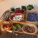 sustainable farming in rome