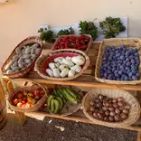 sustainable farming in rome