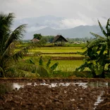 Thai village view