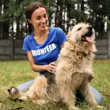 Animal shelter internship
