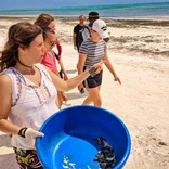 Mother Nature Coastal Conservation in Zanzibar