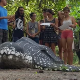 Volunteers at the Costa Rica Sea Turtle Project