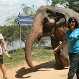 Volunteers at the elephant sanctuary