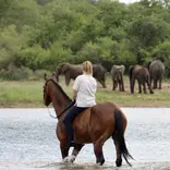 Viewing wildlife from horseback is something else