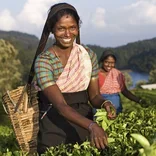 Nursing internships in Sri Lanka