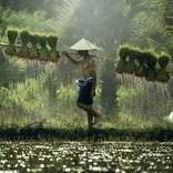 Nursing Internships in Vietnam