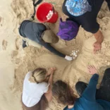 sea turtle care in Puerto López