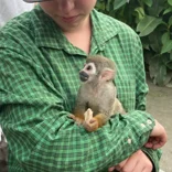 animal care in Tena