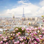 View of the Eiffel Tower and pink flowers in Paris, France