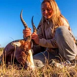 Vet student with antelope sedated
