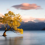 New Zealand lake landscape