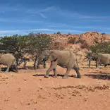 AIFS Abroad in South Africa