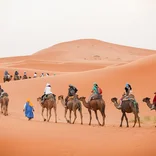 Camel ride in the Sahara desert