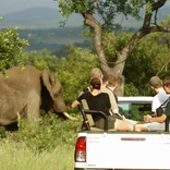 Wildlife Conservation Volunteer in Kruger, South Africa