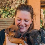 Animal Care Volunteer in Argentina