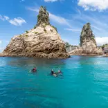 Scuba research project