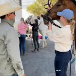 Learning to be a polo groom