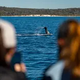 Diploma in Animal Ecology UniSC Sunshine Coast Fraser Coast Queensland