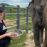 Portfolio-Thailand-Elephants.jpg