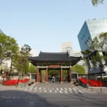 sejong university