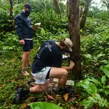 Participants set up a camera trap