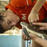 Volunteer with turtle in Thailand
