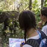 Two participants observing an elephant
