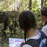 Elephant and participants