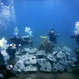 Marine Conservation in Bali