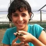 Turtle conservation volunteer in Costa Rica