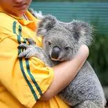 Australia Animal Conservation