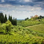 Florence Rolling Hills