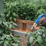 Greenhouse discoveries. A student gets up close with a fascinating plant.