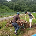 digging