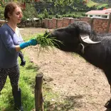 feeding