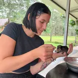 hand feeding
