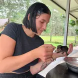 hand feeding