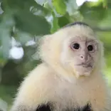 GLA Costa Rica