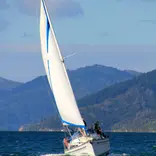 Sail the sea in the Marlborough Sounds