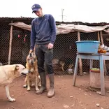 Peru-Dog-Rescue