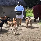  Animal Welfare- Tanzania