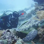 SCUBA diving with sea turtle