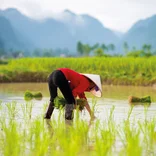 GEI Vietnam